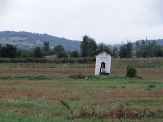 DSC00113